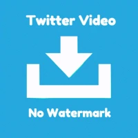 Twitter Video Downloader
