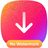 Video Downloader -No Watermark