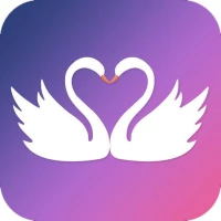 Proposal: Muslim Marriage App