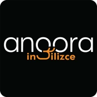 Angora İngilizce