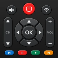 Universal TV Remote Control