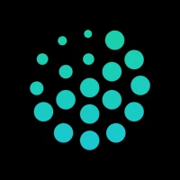 Belong - Meet New People