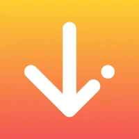 Instarchive: Downloader & Save