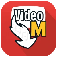 Tubematè Mp4 Video Downloader